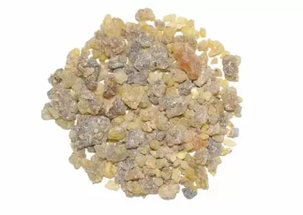 Extrato de Boswellia serrata