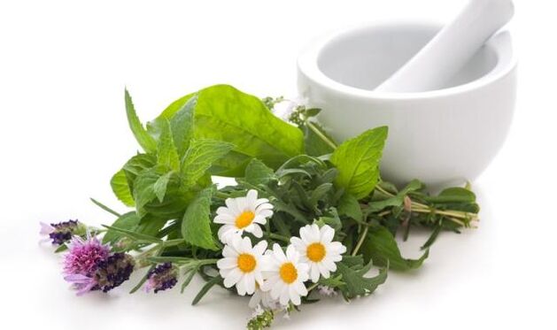 As plantas medicinais são a base dos remédios para efeitos externos na articulação do joelho afetada pela artrose
