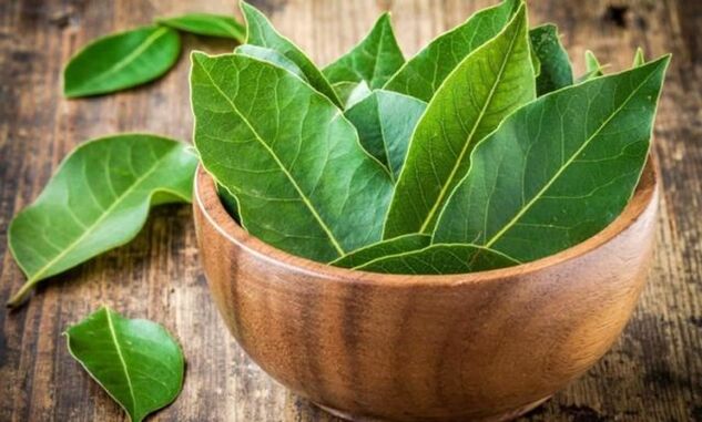 Folhas de louro para preparar uma decocção para aliviar o inchaço do joelho devido à artrose